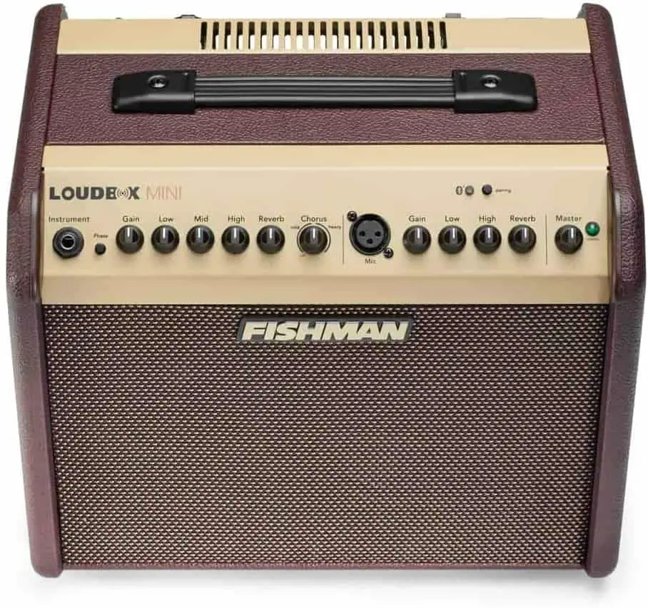 Optimus cum Bluetooth connectivity: Fishman Loudbox Mini