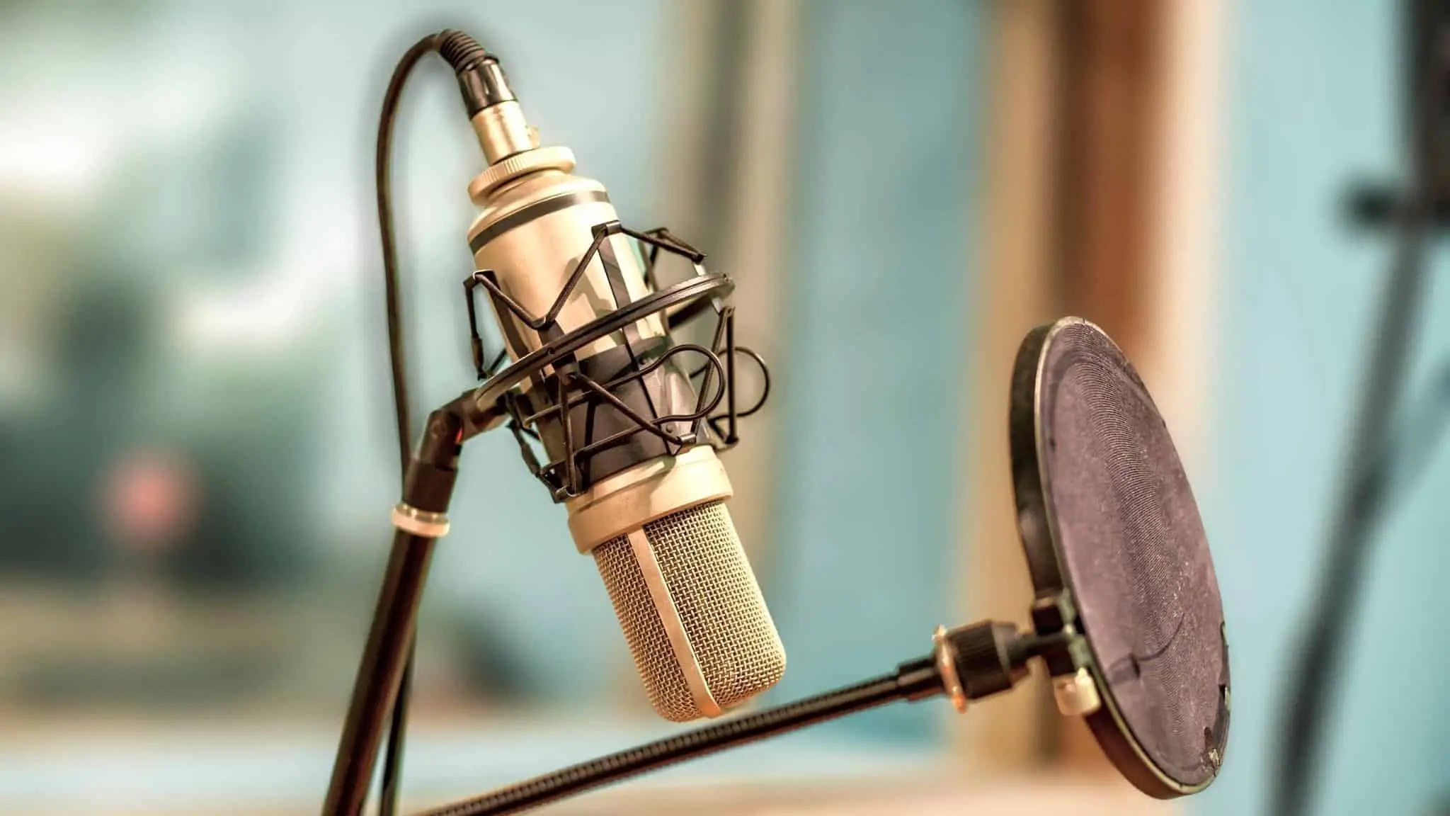 Popfilter in front of microphone