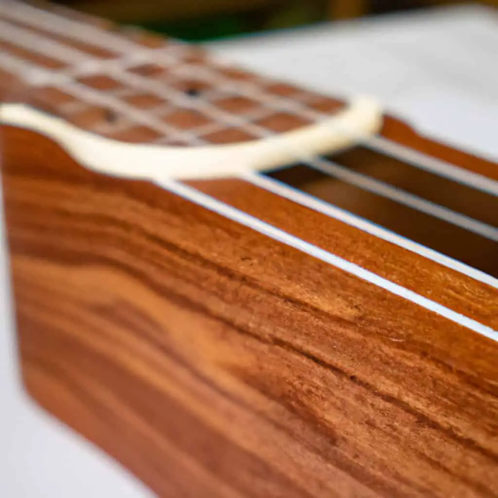 Koa Tonewood: Comprehensive Guide to This Bright Guitar Wood
